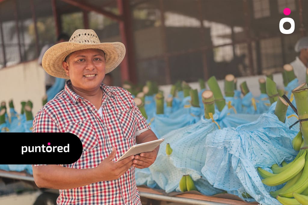 Hacia un sistema financiero más abierto e inclusivo con el Open Finance